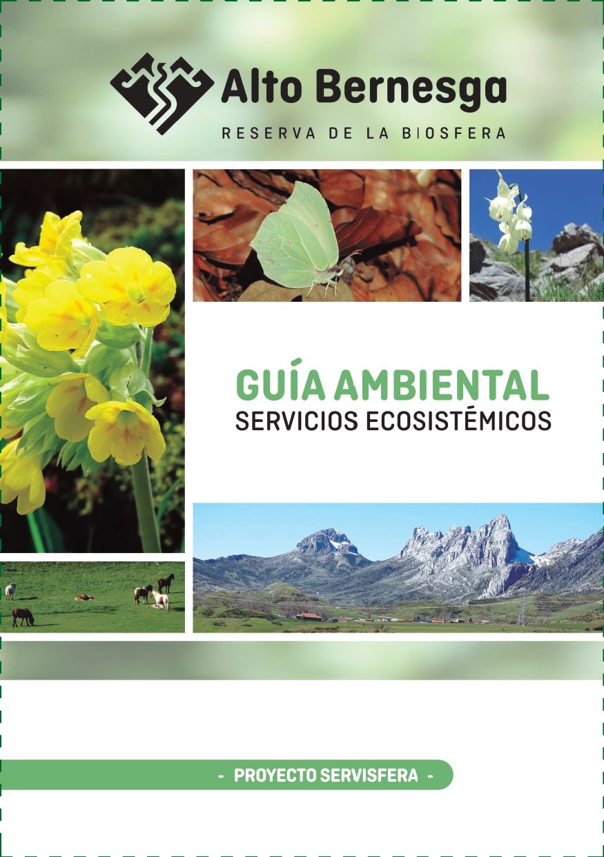 Detalla de la portada de la guía ambiental de servicios ecosistémicos. 