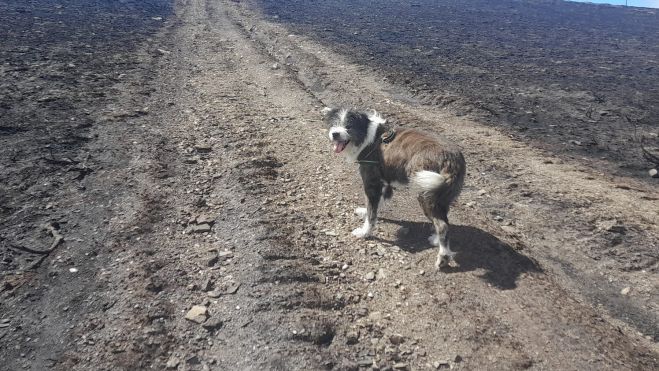 morredero quemado 2 morredero quemado 2