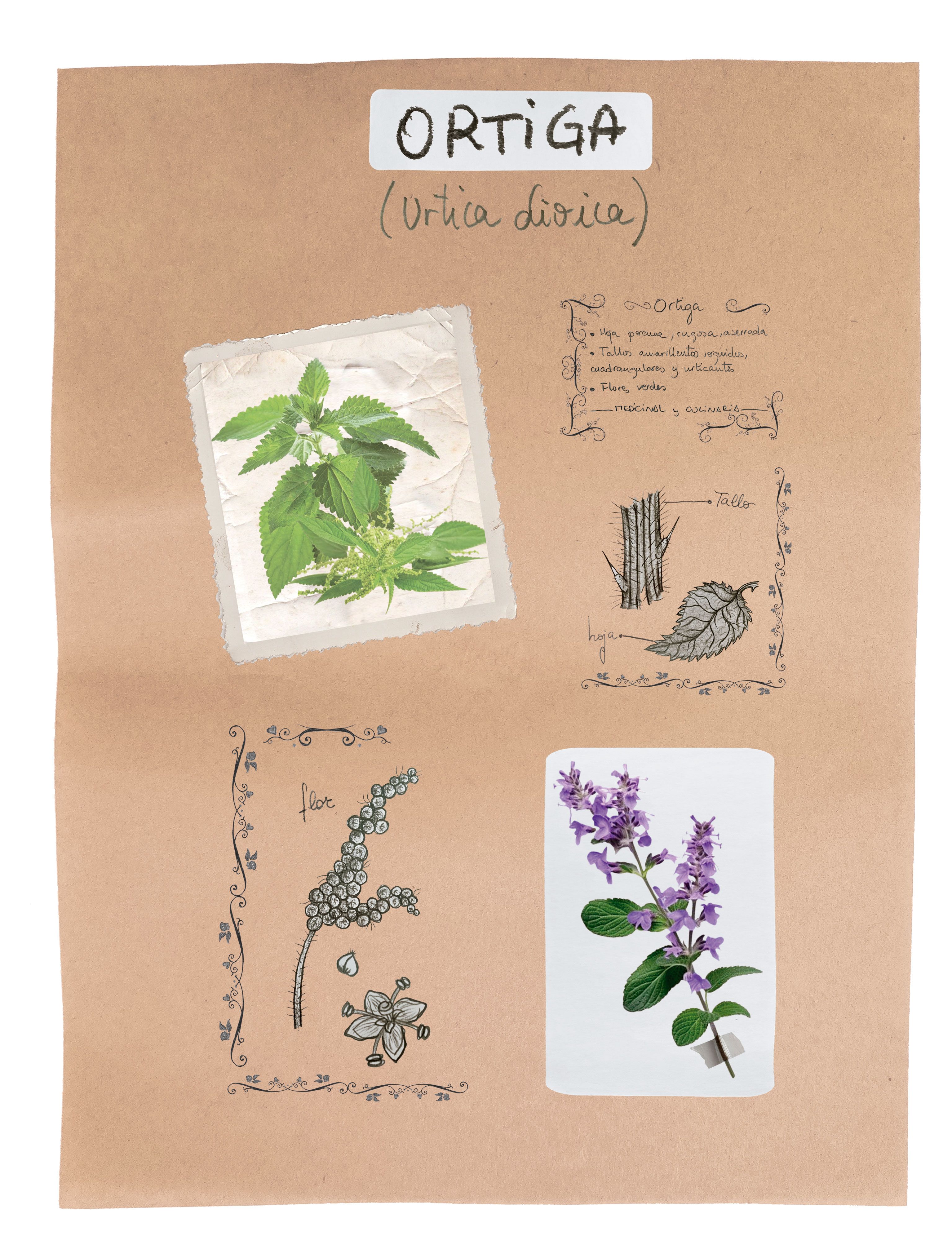 | MAIKA GARCÍA Y NOELIA GARCÍA