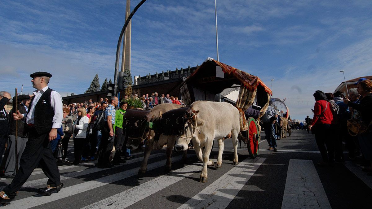 Carros engalanados en la romería de San Froilán de León. | MAURICIO PEÑA