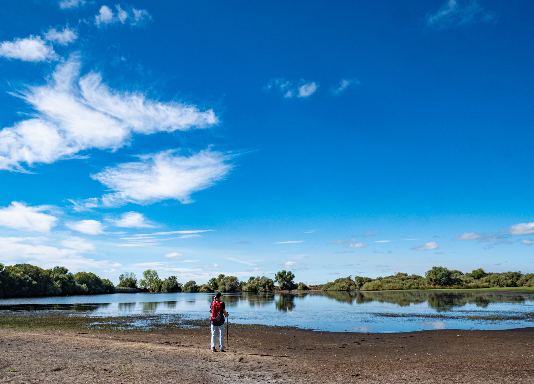 El Estanque. | VICENTE GARCÍA