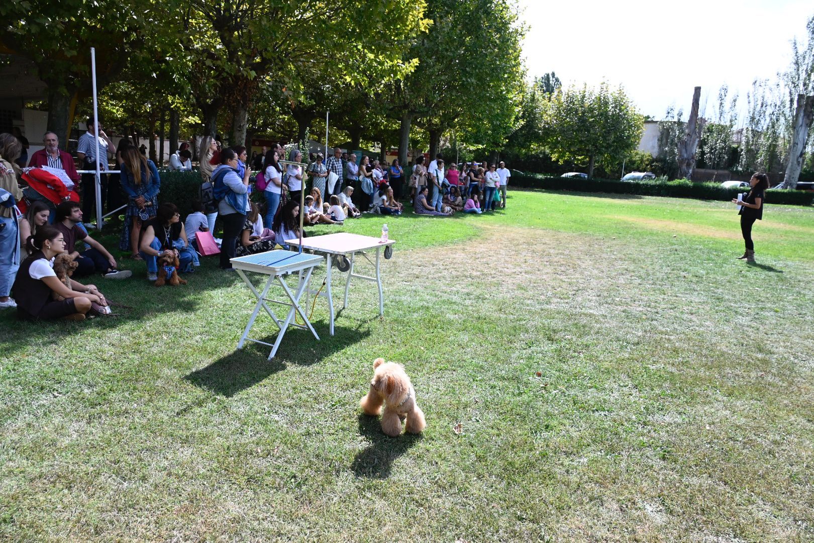 La primera canichada de León