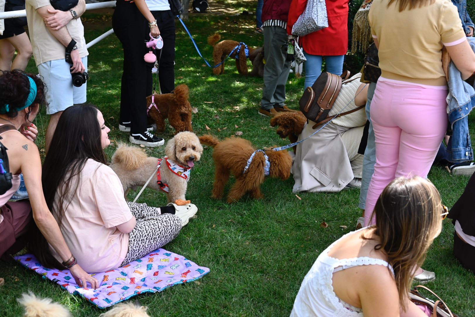 La primera canichada de León