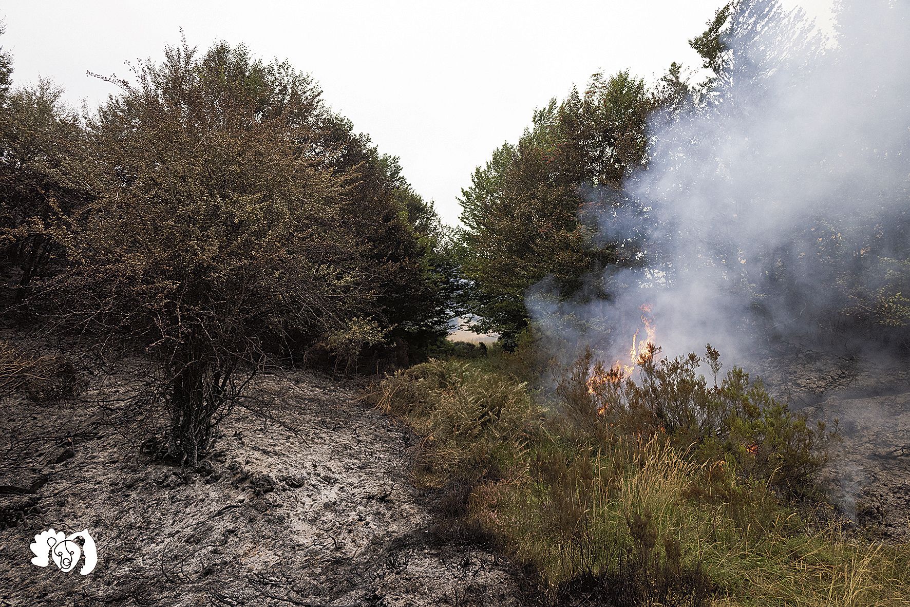 Imagen Jorge 3 Imagen Jorge 3