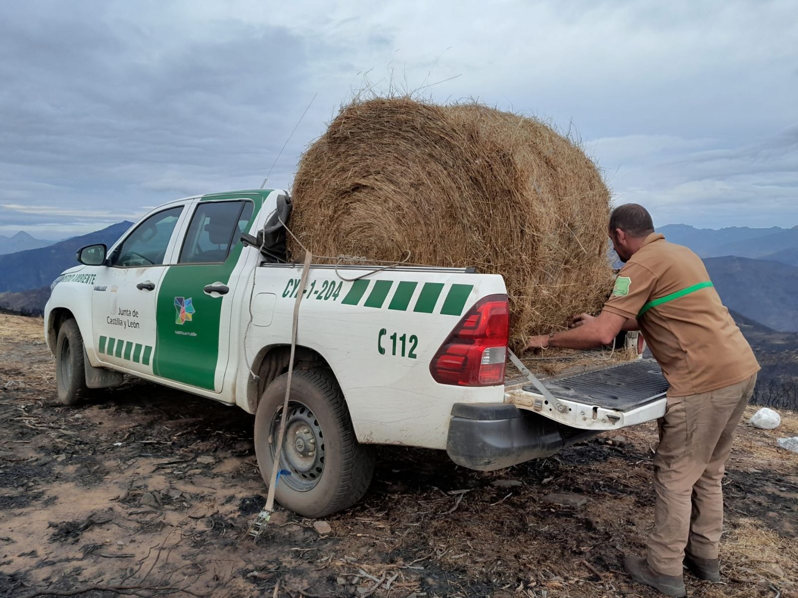 Celadores de Medio Ambiente de la Reserva Regional de Caza de Riaño (León) depositan alimento para la fauna silvestre en terrenos incendiados | JCYL Celadores de Medio Ambiente de la Reserva Regional de Caza de Riaño (León) depositan alimento para la fauna silvestre en terrenos incendiados | JCYL