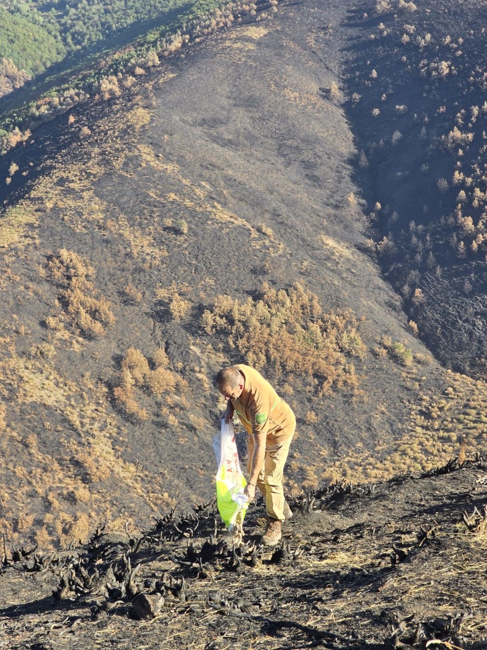 03MAX202509705281 03MAX202509705281