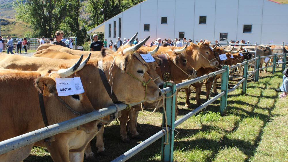 Imagen de archivo de la edición celebrada en septiembre del pasado año. 