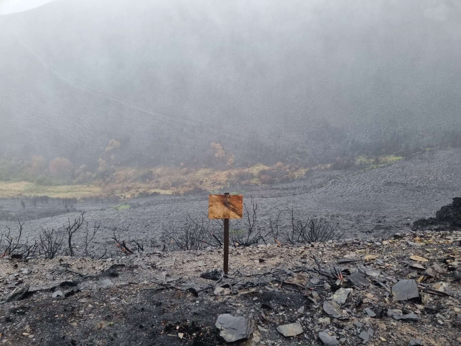 Paisaje calcinado en el final de la etapa. | RAÚL FERNÁNDEZ