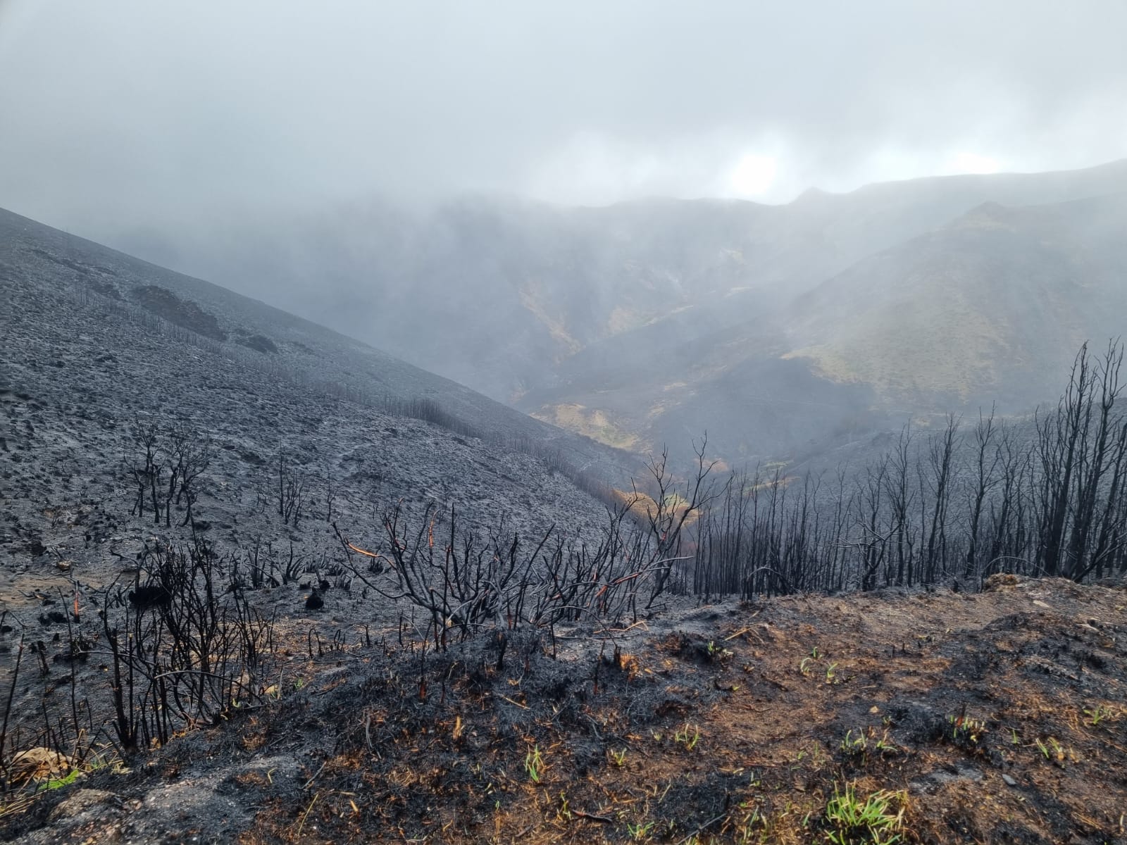Paisaje calcinado en el final de la etapa. | RAÚL FERNÁNDEZ