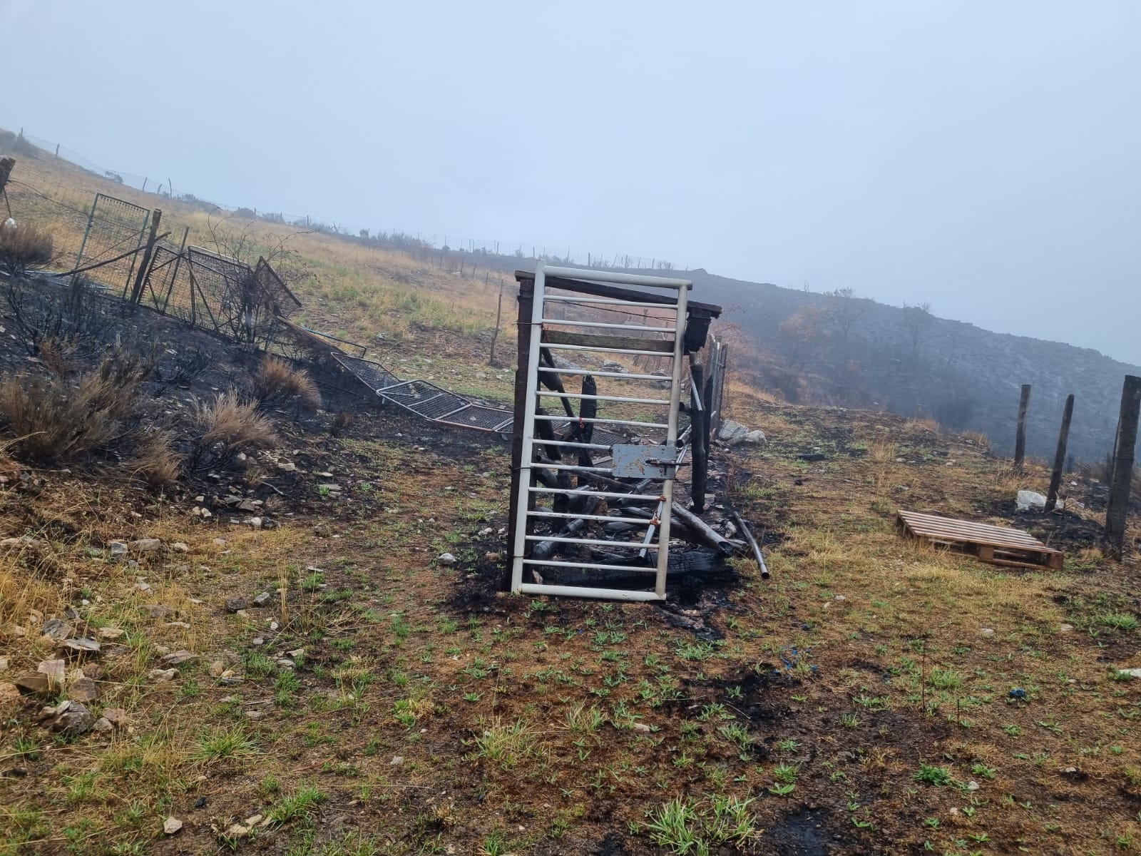 Restos de los incendios