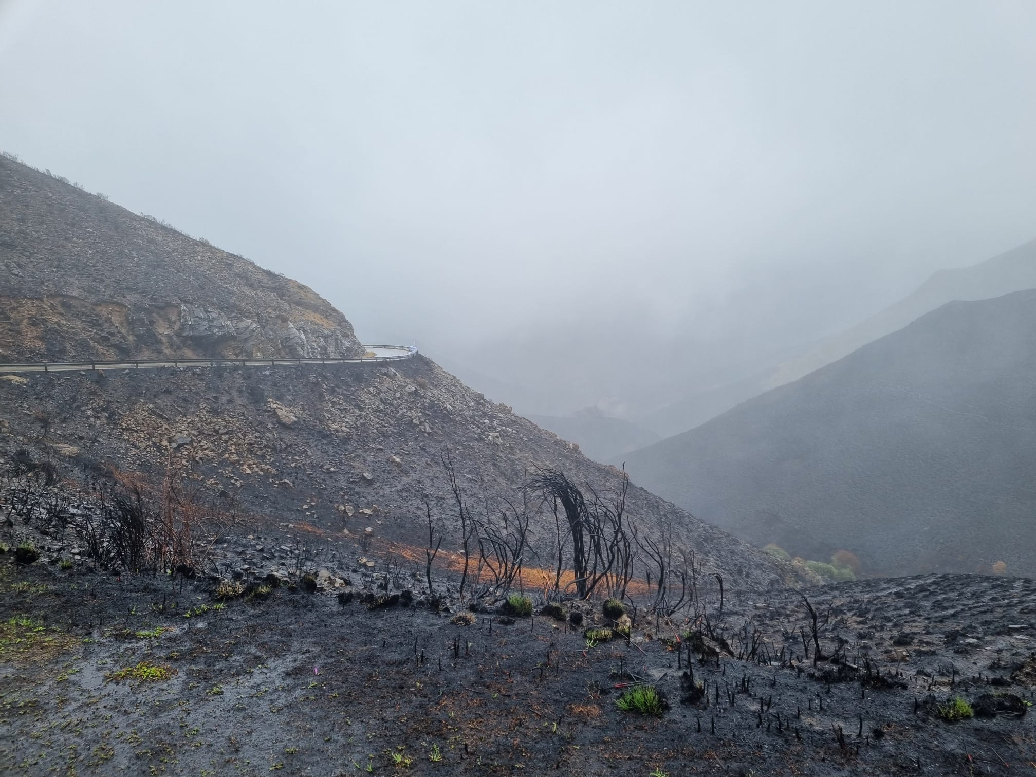 Aspecto de la montaña 2