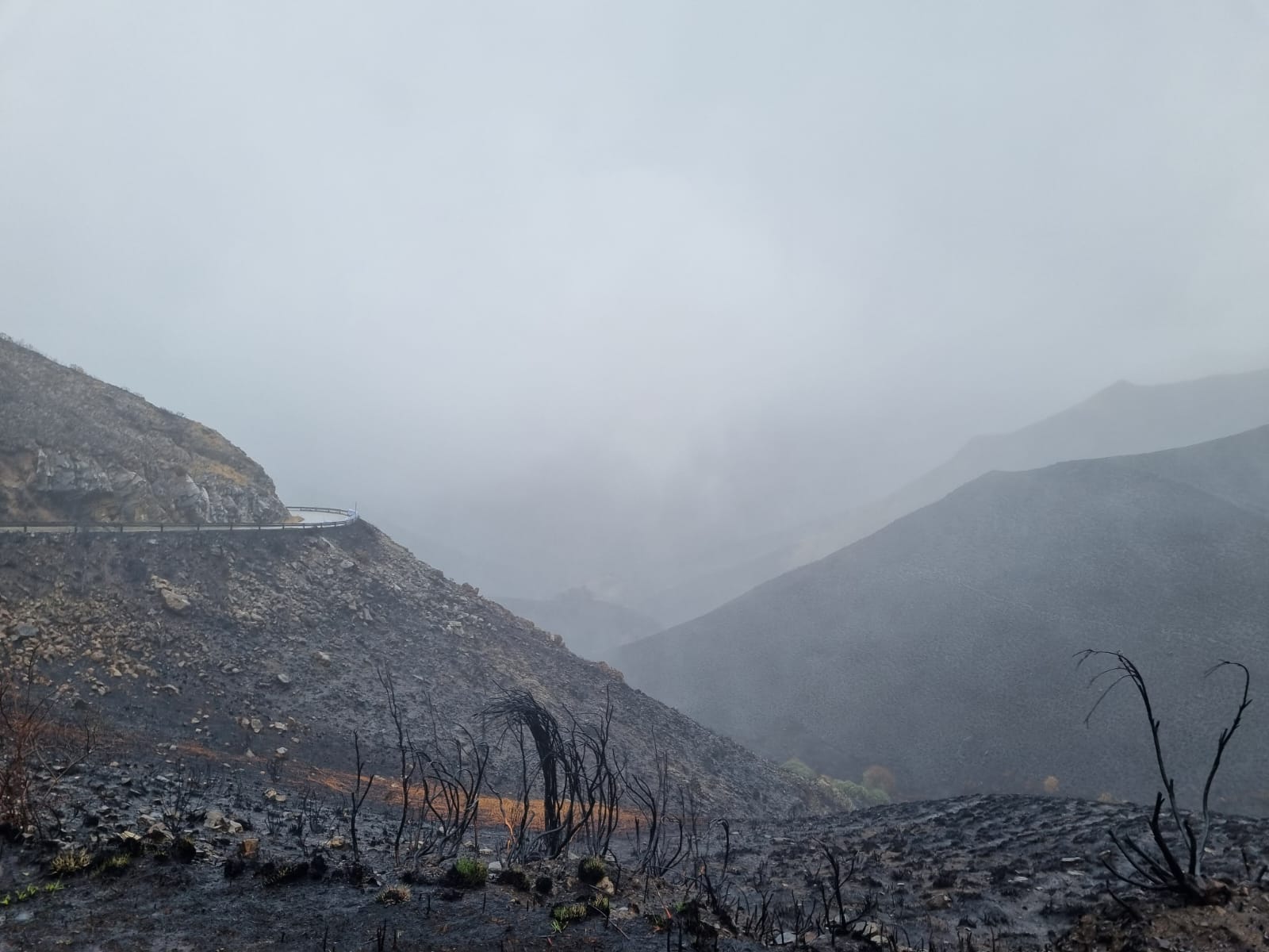 Aspecto de la montaña