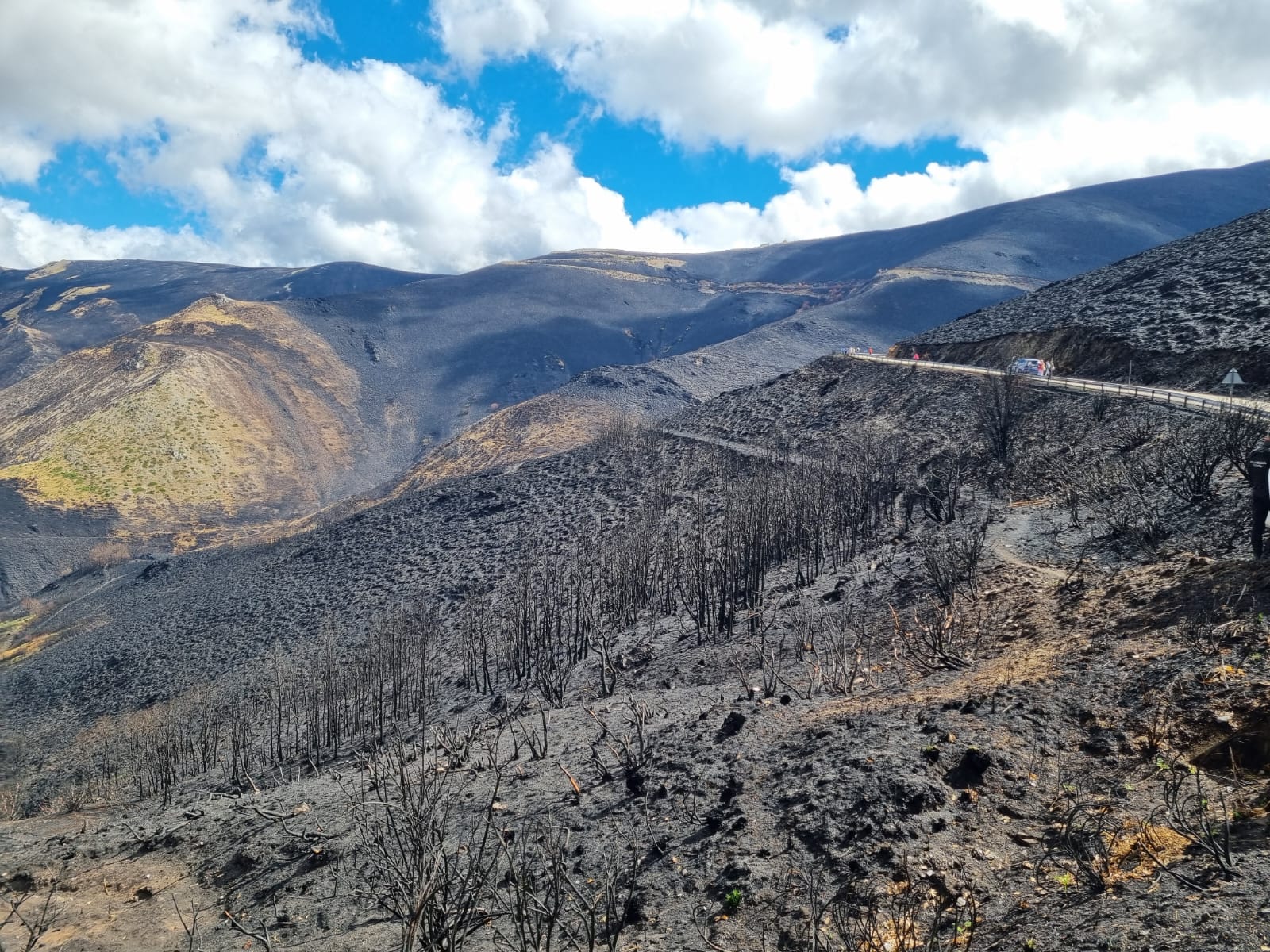 Aspecto del Morredero tras los incendios. | L.N.C.