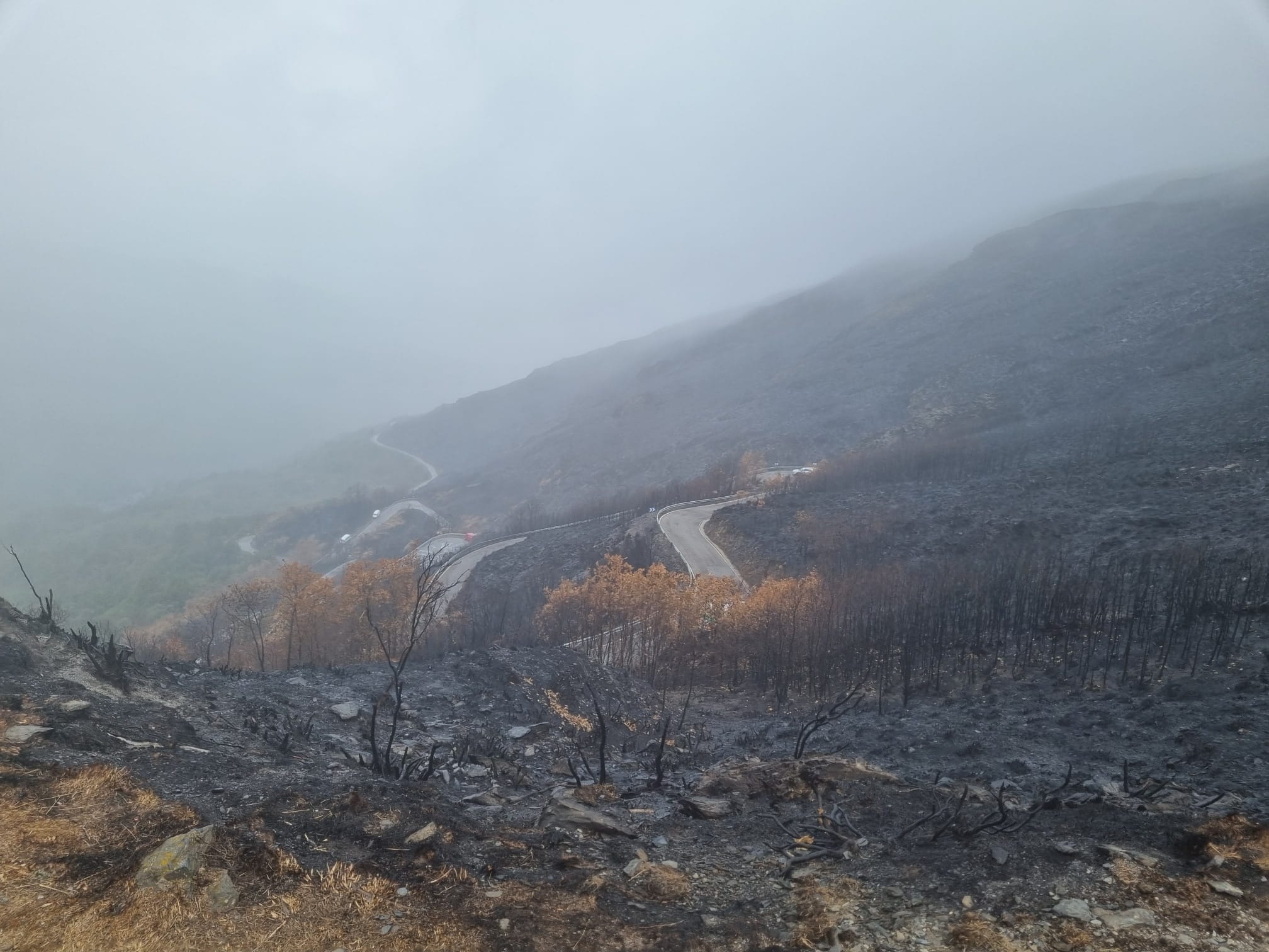 Estado de la montaña desde el Alto de la Cruz