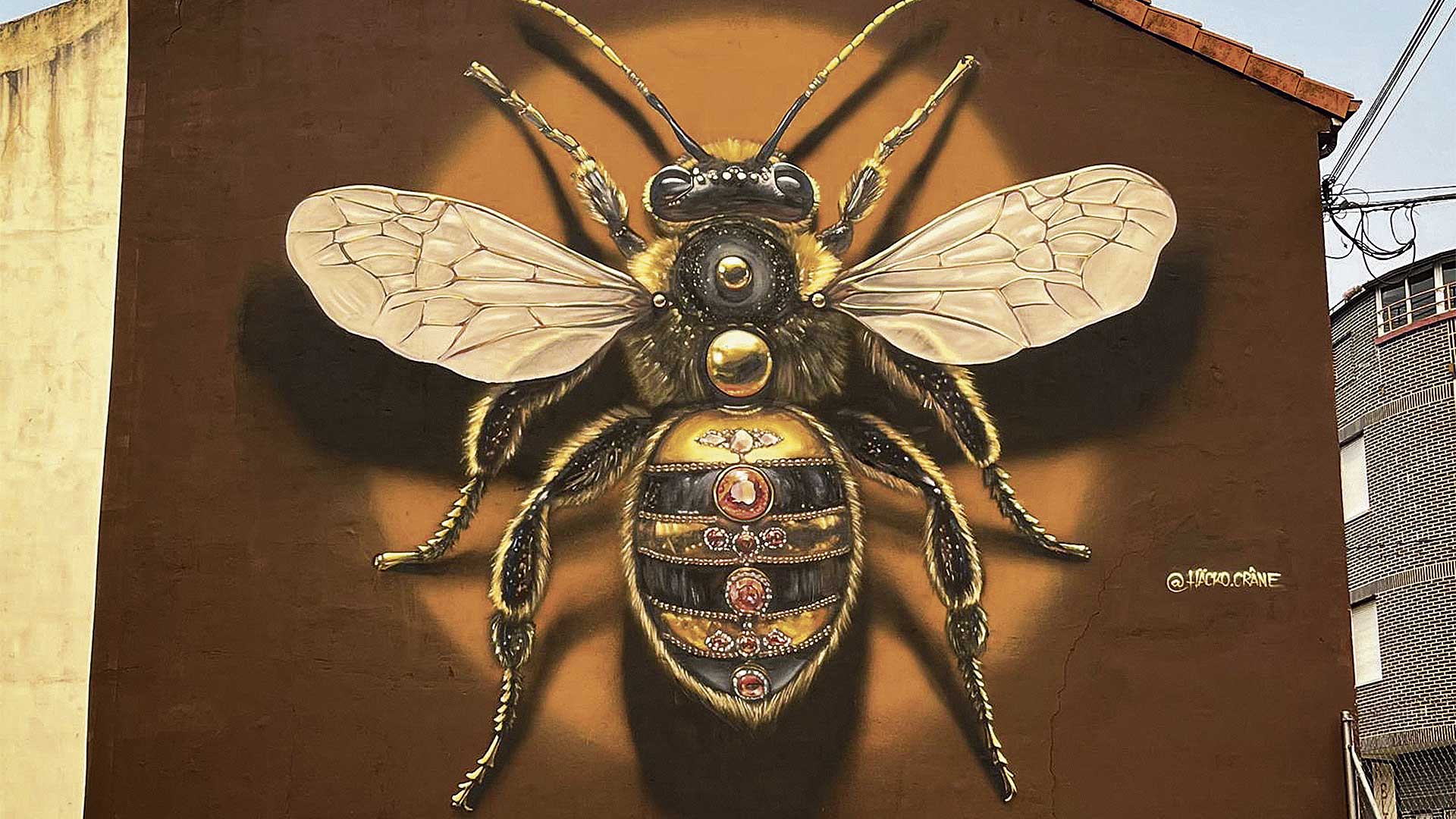 Imagen de la obra galardonada, Queen Bee, de Häcko Crâne.| L.N.C. Imagen de la obra galardonada, Queen Bee, de Häcko Crâne.| L.N.C.