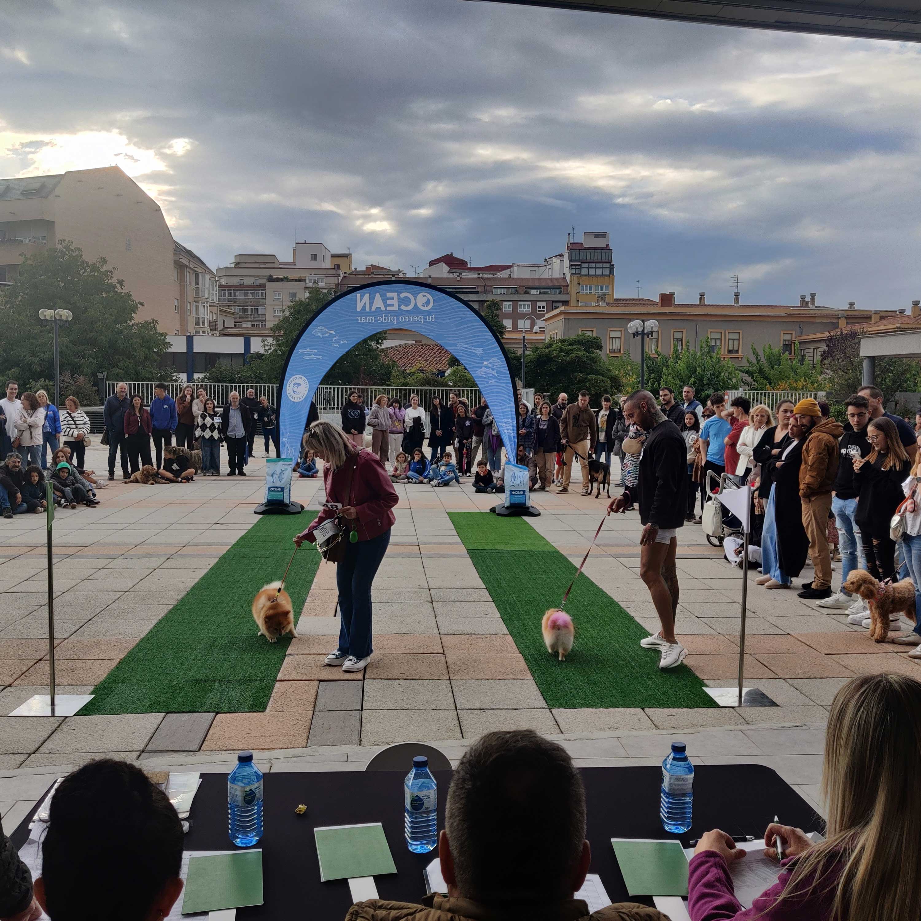 Una instante de una de las actividades llevadas a cabo con motivo del Día de las Mascotas. | L.N.C. Una instante de una de las actividades llevadas a cabo con motivo del Día de las Mascotas. | L.N.C.