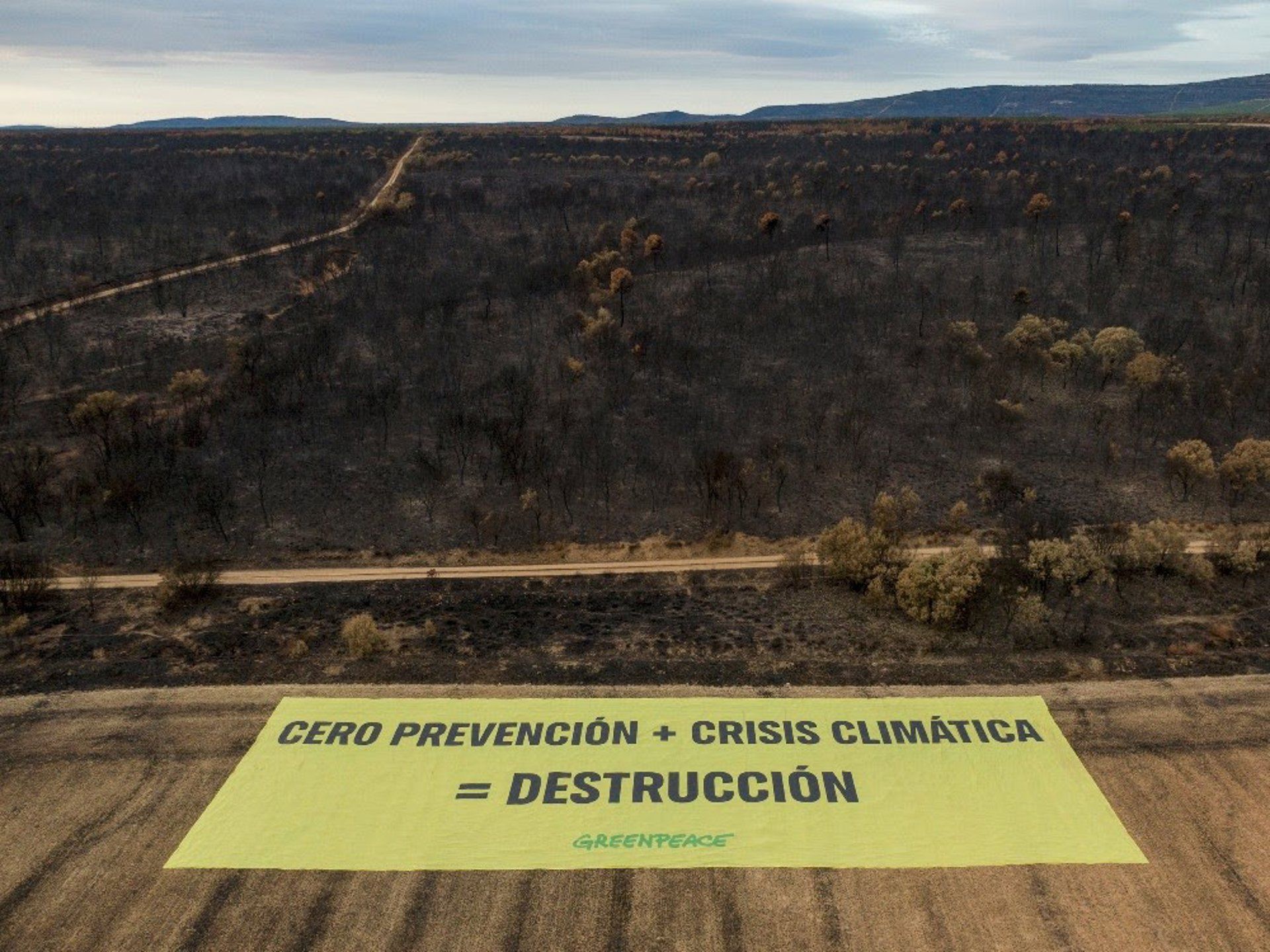 Greenpeace despliega una pancarta gigante para reclamar que 2025 sea un punto de inflexión ante los grandes incendios forestales. | GREENPEACE