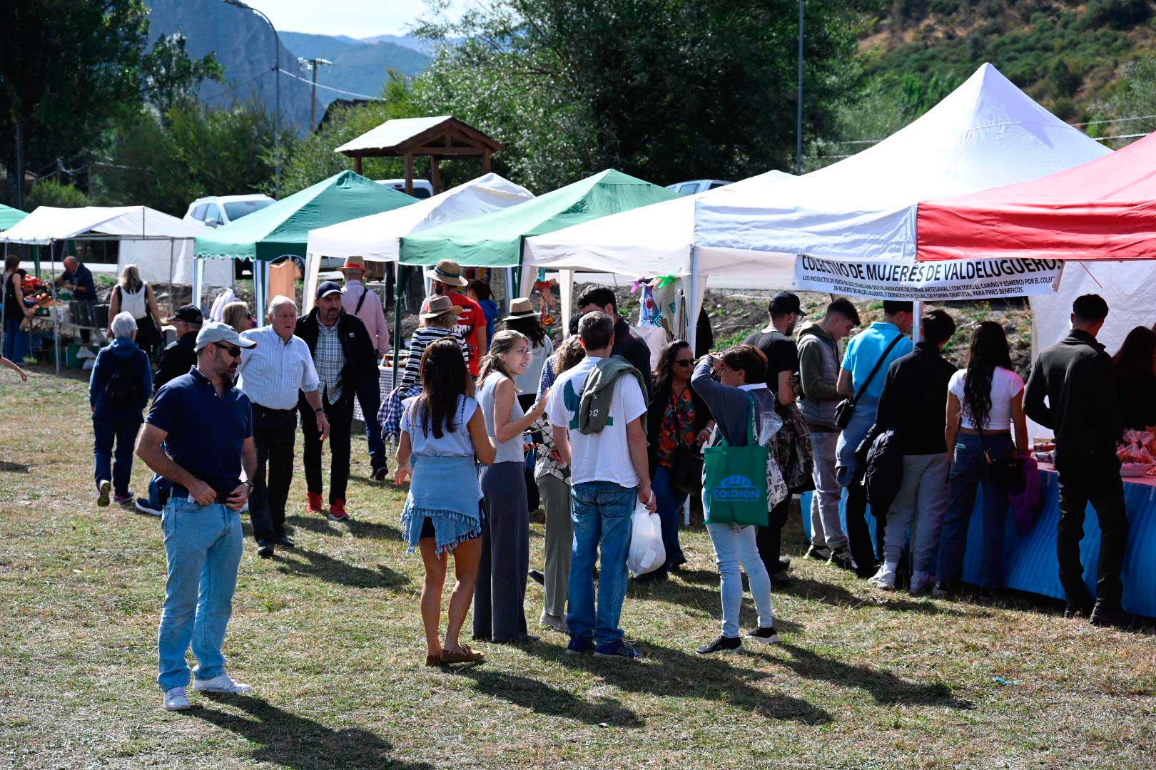 La pasión equina conquista Valdelugueros con su Feria Ganadera. | SAÚL ARÉN