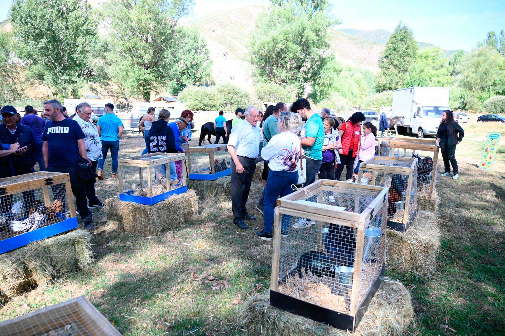La pasión equina conquista Valdelugueros con su Feria Ganadera. | SAÚL ARÉN