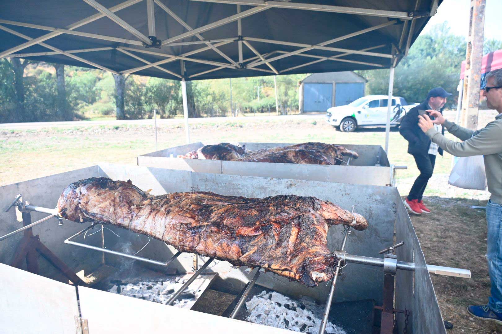 La pasión equina conquista Valdelugueros con su Feria Ganadera. | SAÚL ARÉN