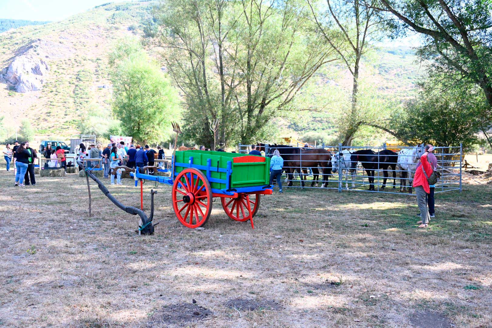 La pasión equina conquista Valdelugueros con su Feria Ganadera. | SAÚL ARÉN