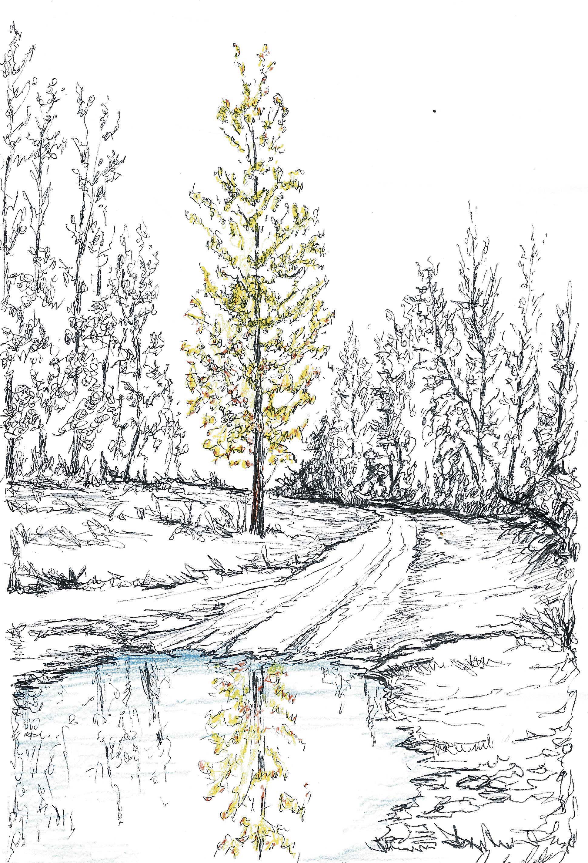 La esencia de la amistad. | L.N.C.