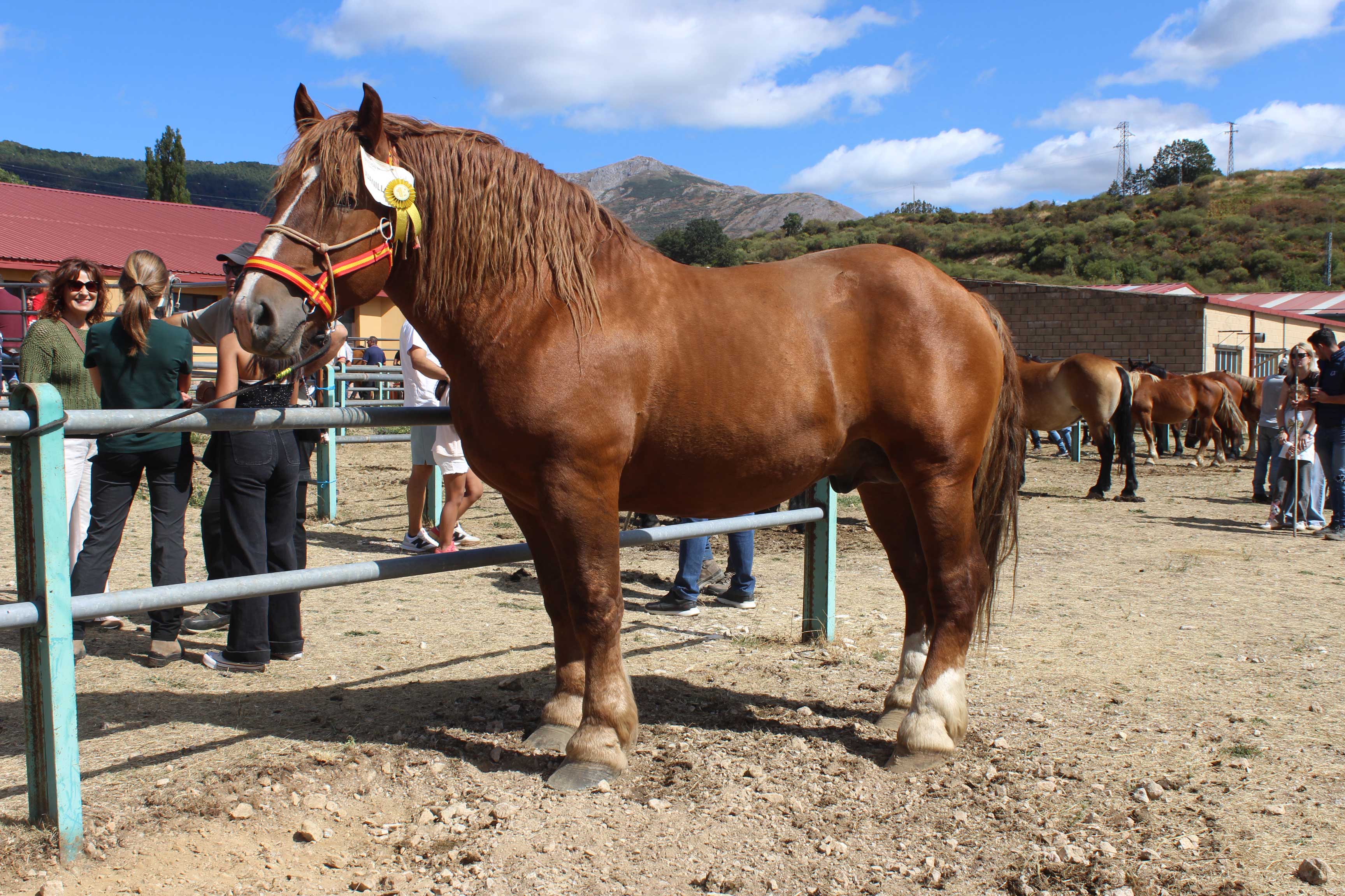 Una imagen de la muestra de Puebla de Lillo. | ALFREDO HURTADO