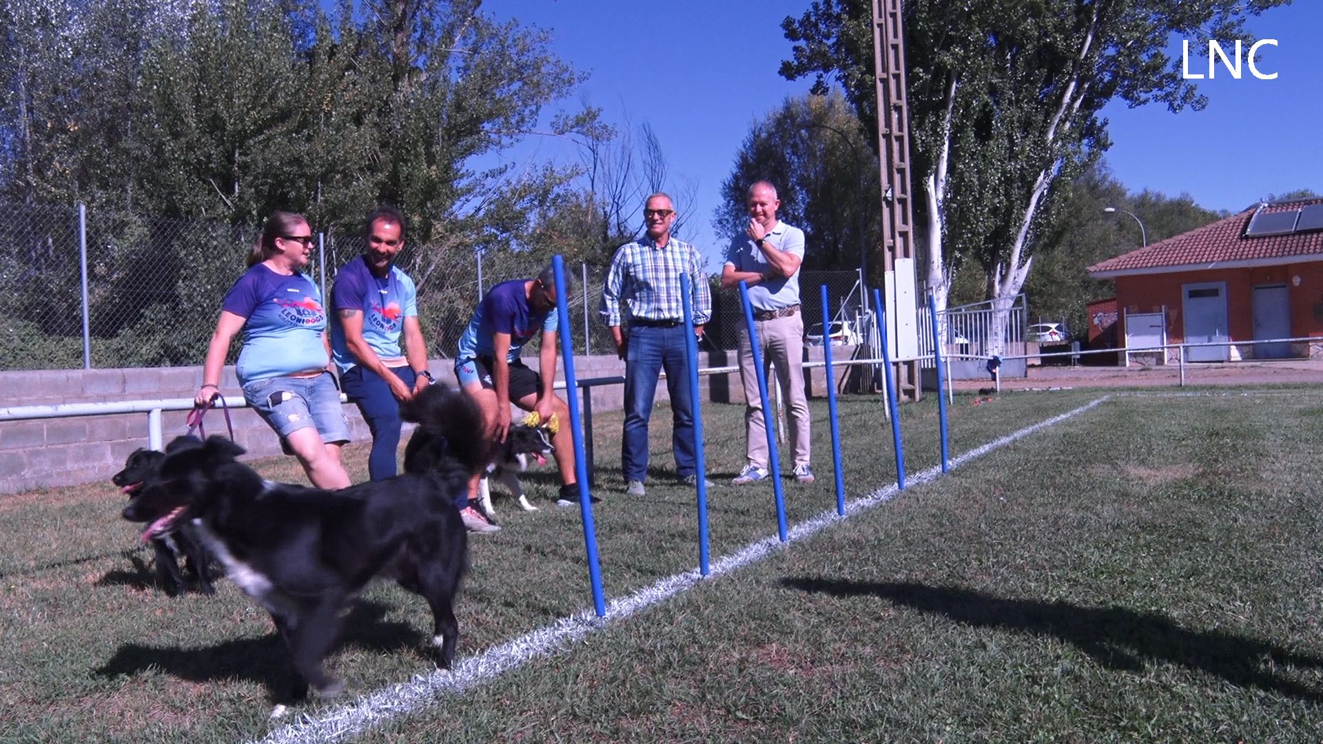 Villaobispo se convierte este fin de semana en la capital del 'agility' en el norte de España