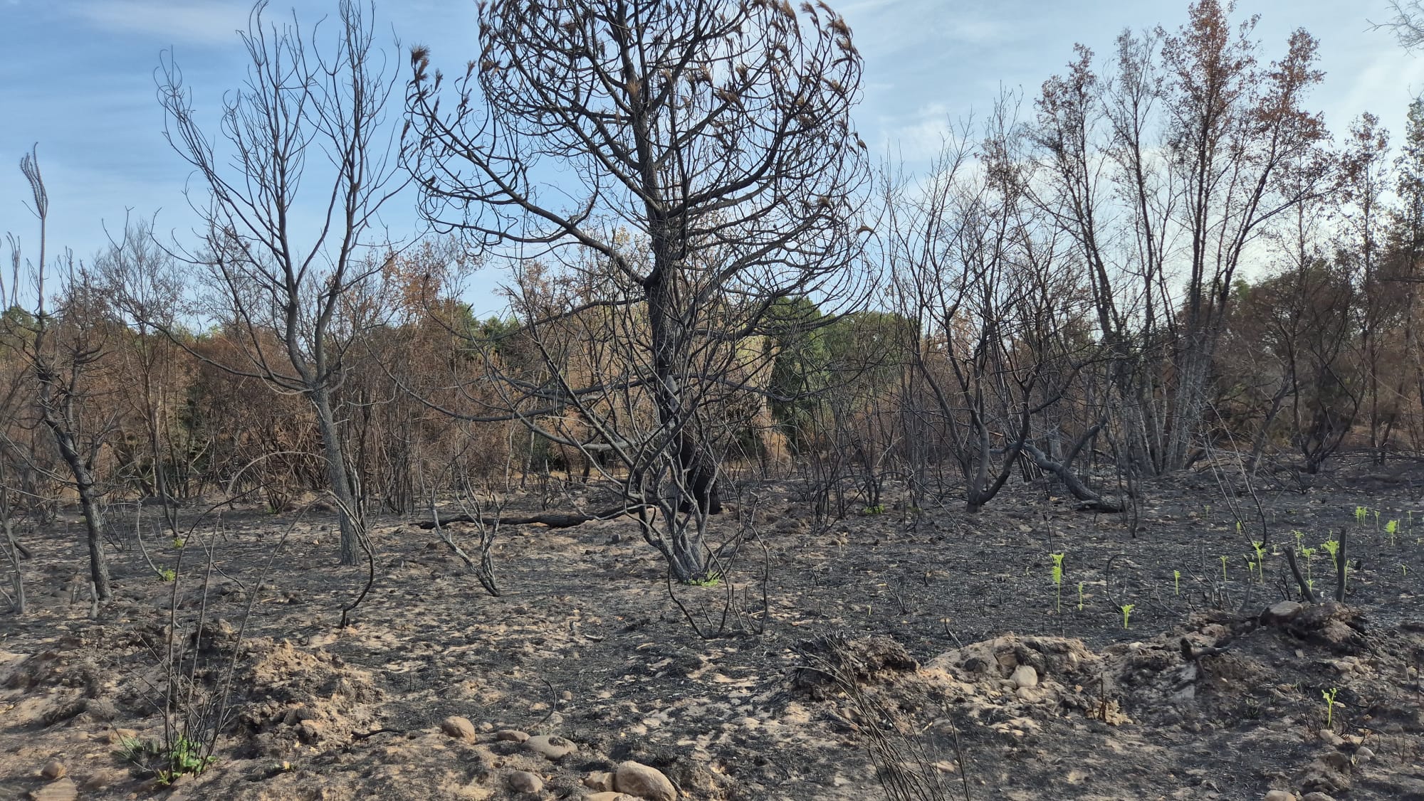 Zonas afectadas por el fuego en la provincia de León.