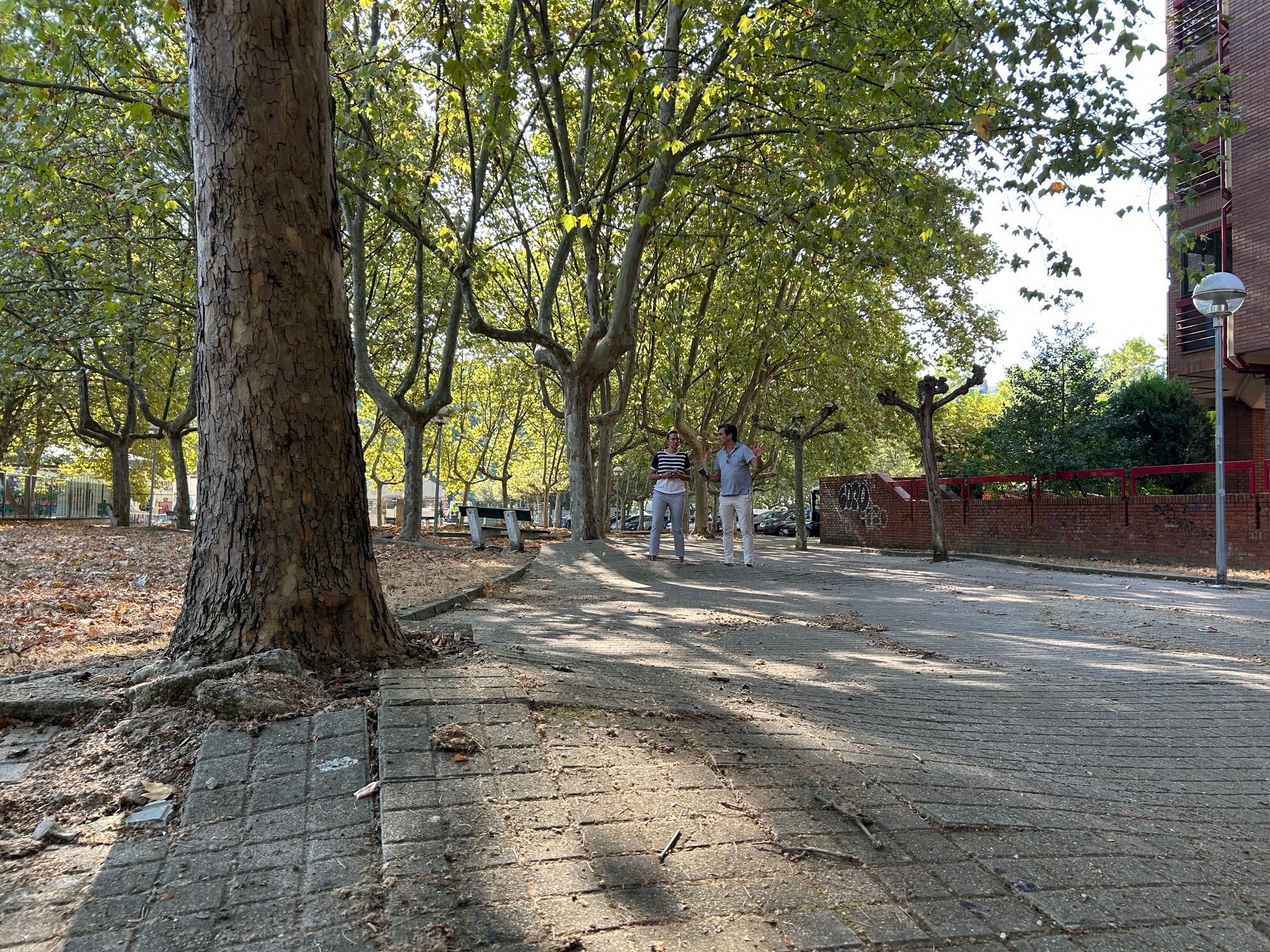 Estado actual de la zona en la que se va a actuar.