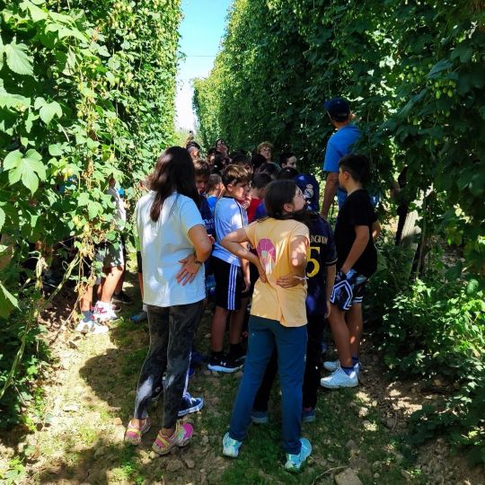 Un instante de la visita a una plantación de lúpulo. L.N.C.