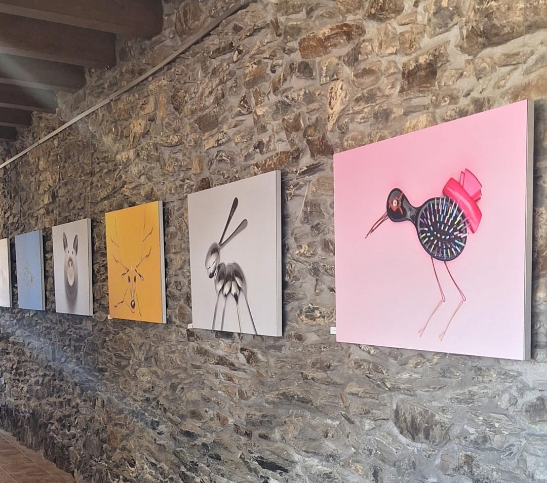 Obras de la exposición ‘Casual Mente’, del fotógrafo y artista leonés David Santaolalla (1)