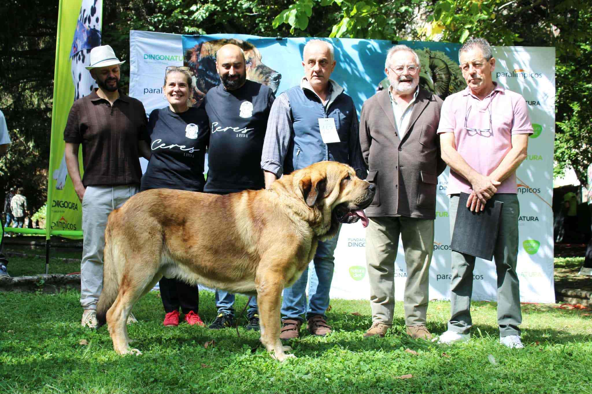 Mejor ejemplar del concurso de Los Barrios de Luna. | L.N.C. Mejor ejemplar del concurso de Los Barrios de Luna. | L.N.C.