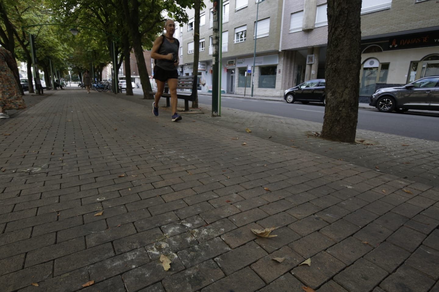Los vecinos de José Aguado se quejan de que los excrementos de las aves ensucian continuamente la avenida. | FERNANDO OTERO Los vecinos de José Aguado se quejan de que los excrementos de las aves ensucian continuamente la avenida. | FERNANDO OTERO