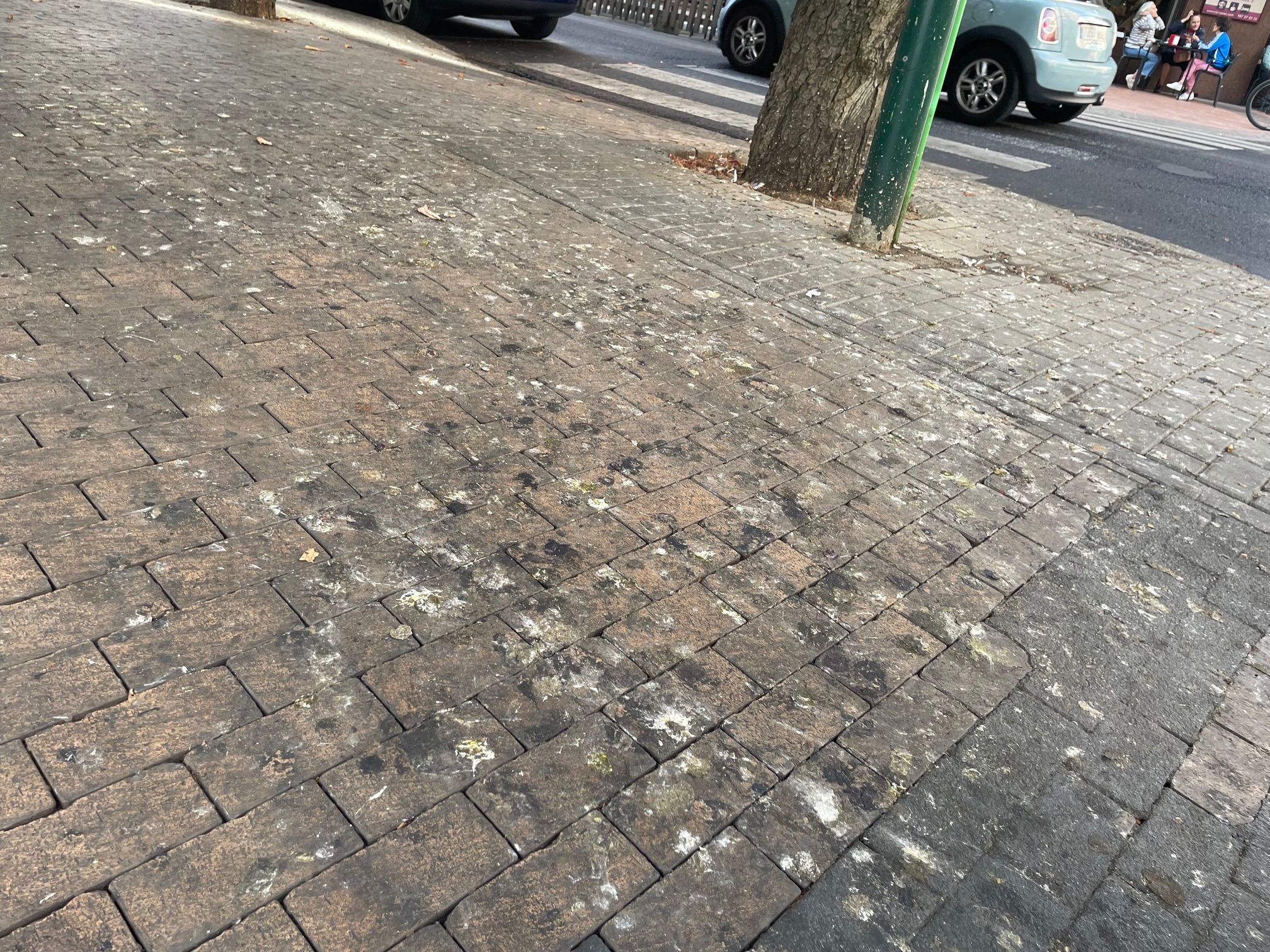 SuciedadAvenidaJoséAguado