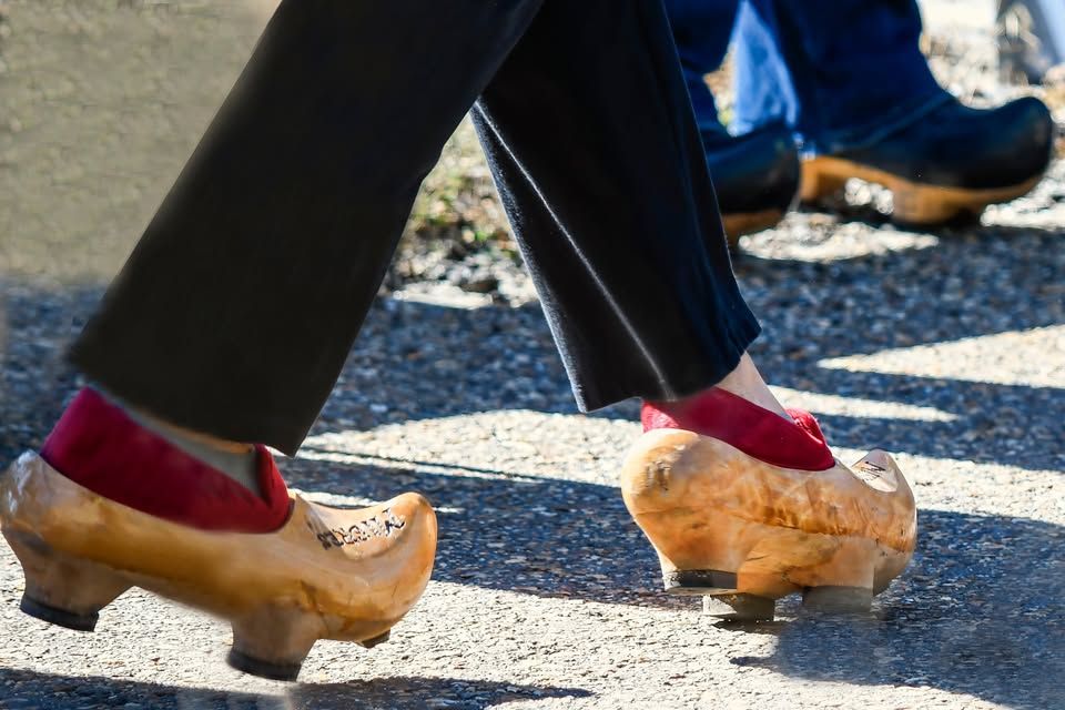 Cartel de la presente edición de la Romería de los Pájaros, con la madreña de gran protagonista del mismo. | L.N.C.
