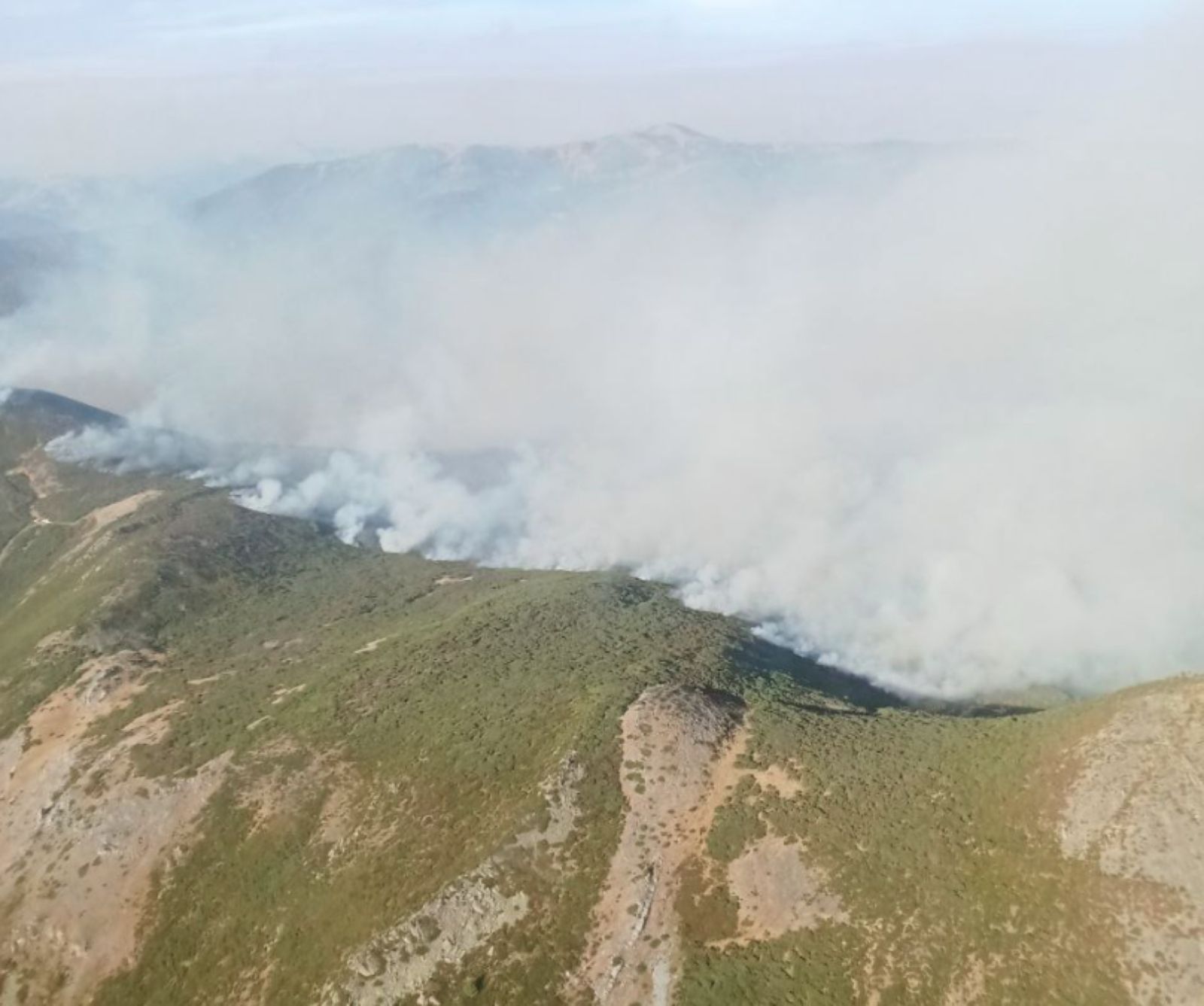 Imagen aérea de la zona afectada por el incendio en Pendilla de Arbás | INFORCYL Imagen aérea de la zona afectada por el incendio en Pendilla de Arbás | INFORCYL