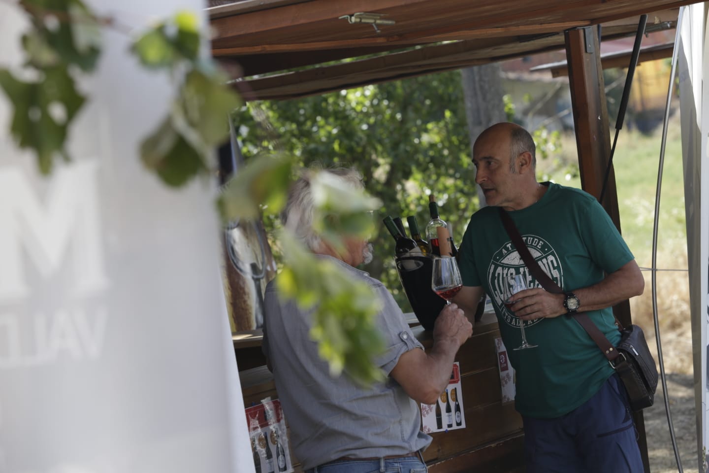 Feria de la Vendimia en Valdevimbre