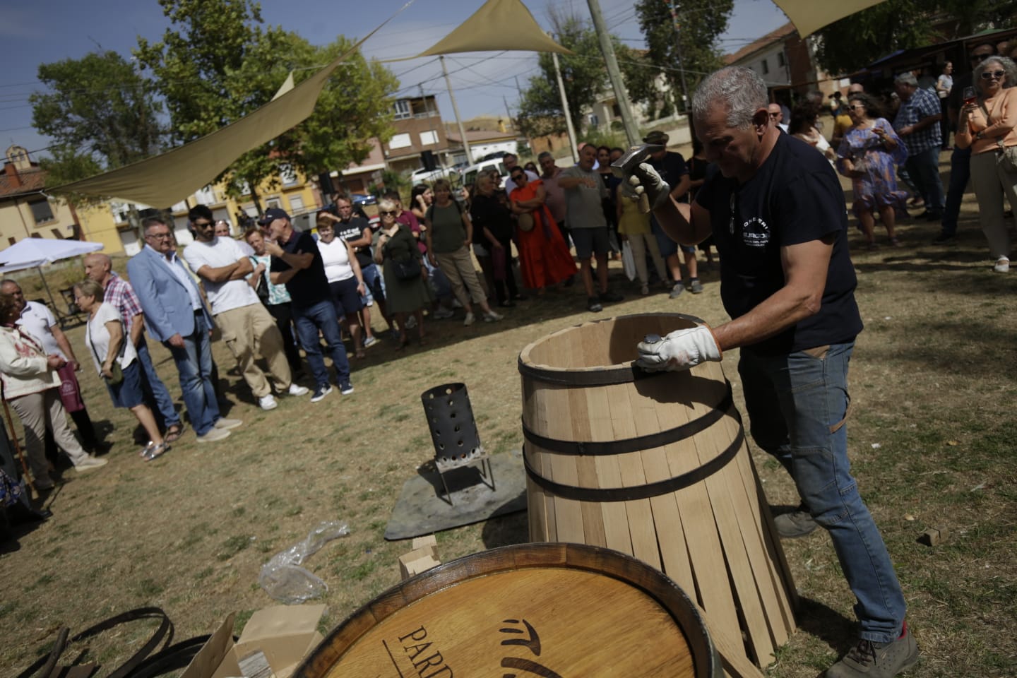 Feria de la Vendimia en Valdevimbre