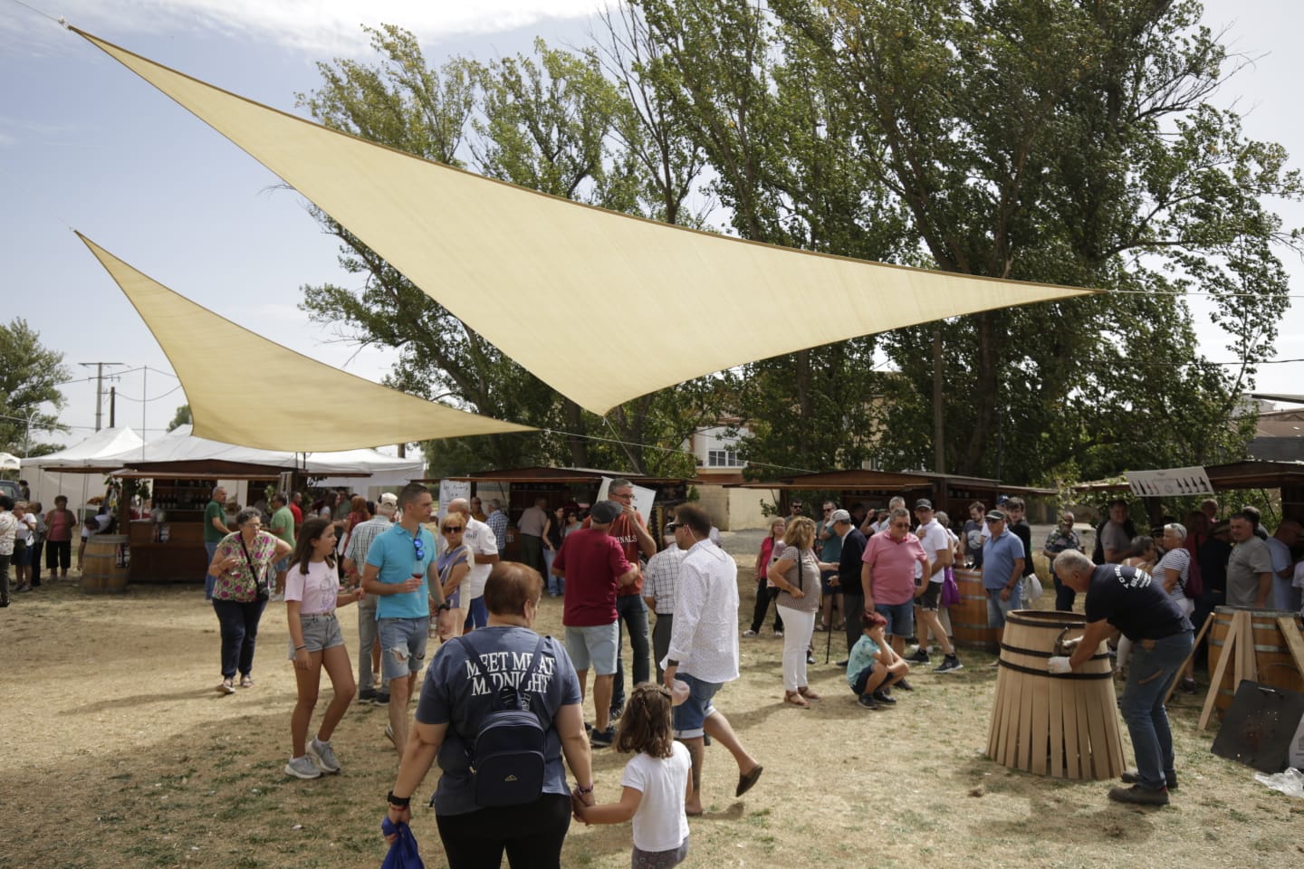 Feria de la Vendimia en Valdevimbre