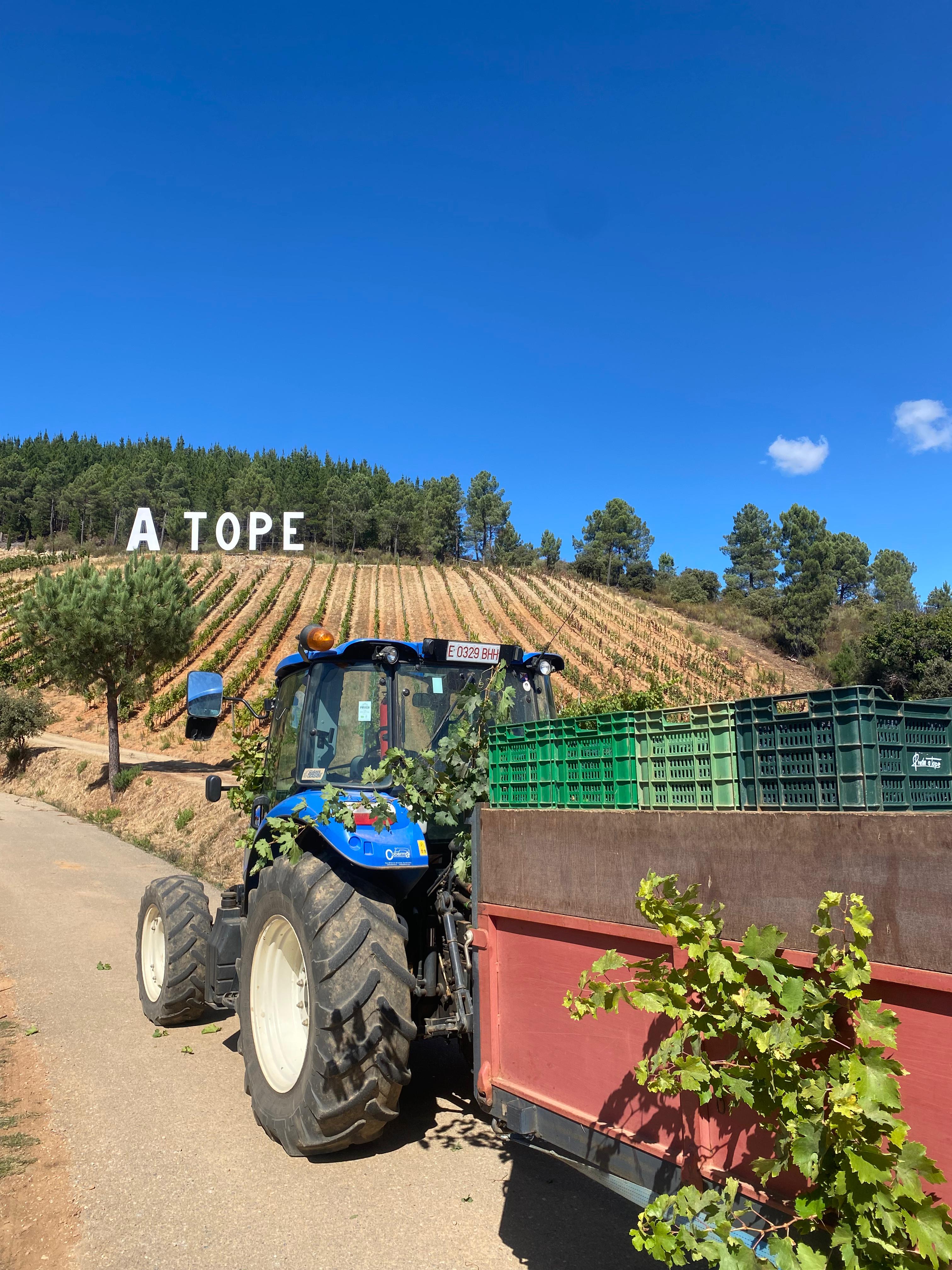 Vendimia de Prada a Tope.