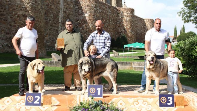 Podium jóvenes macho.