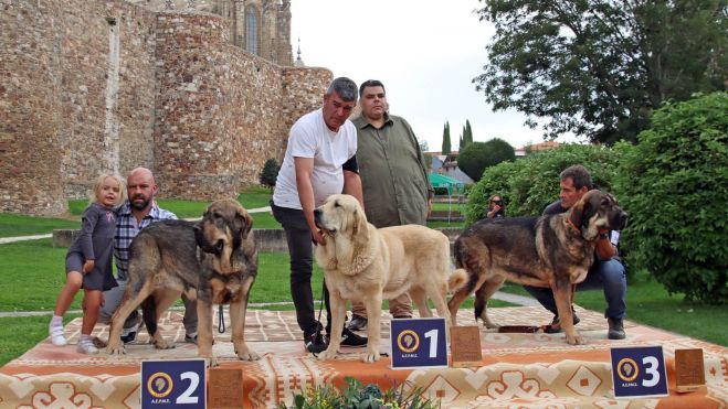 Podium jóvenes hembra.