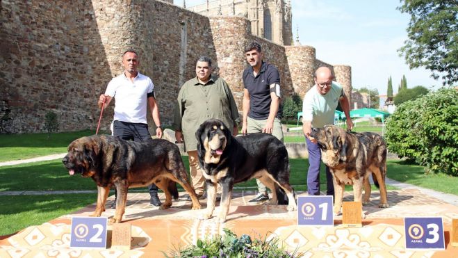 Podium clase abierta machos