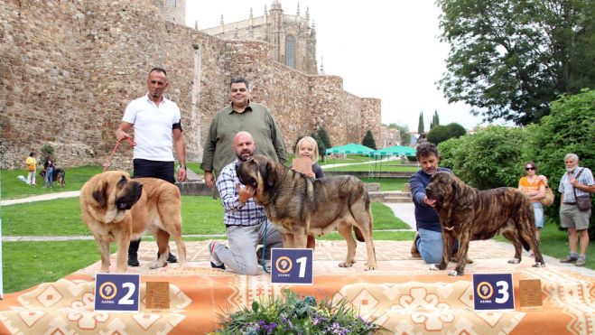 Podium clase abierta hembras.