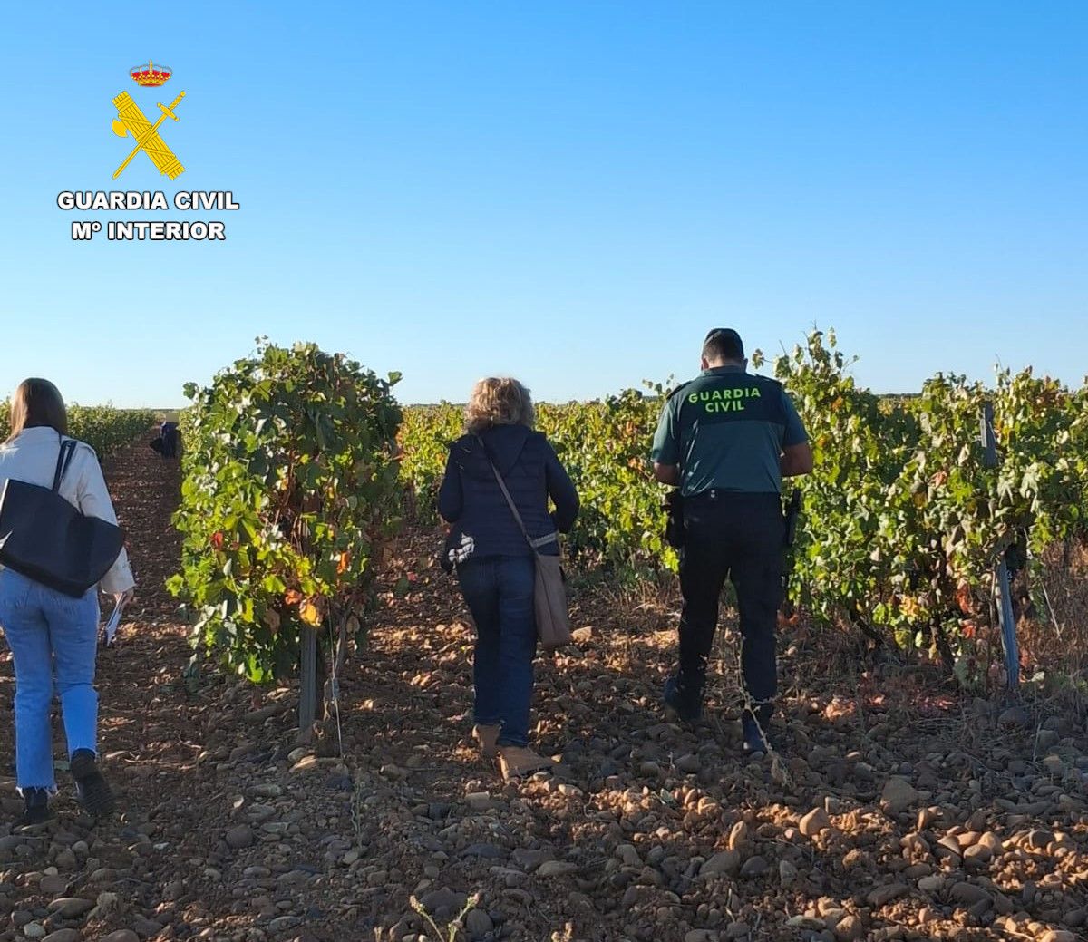 inspección de la Guardia Civil e Inspección de Trabajo en la zona de Valdevimbre.