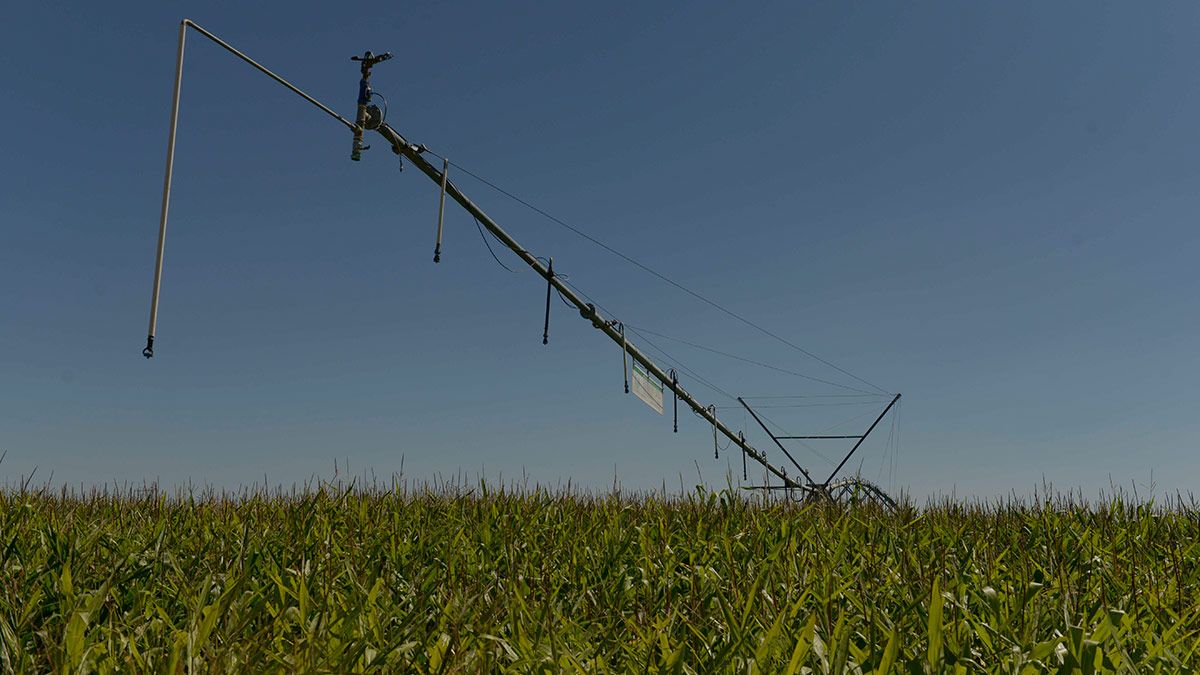 Un campo de maíz con sistemas de riego modernizado en el Páramo leonés. | MAURICIO PEÑA