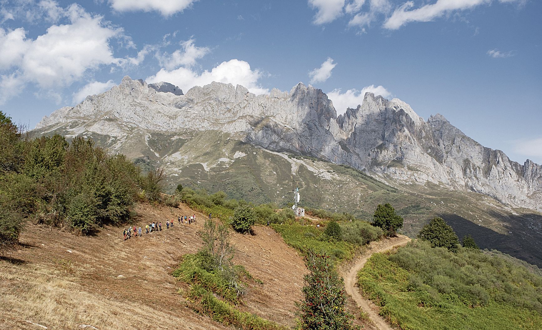 Imagen 09 Se cruza una zona desbrozada