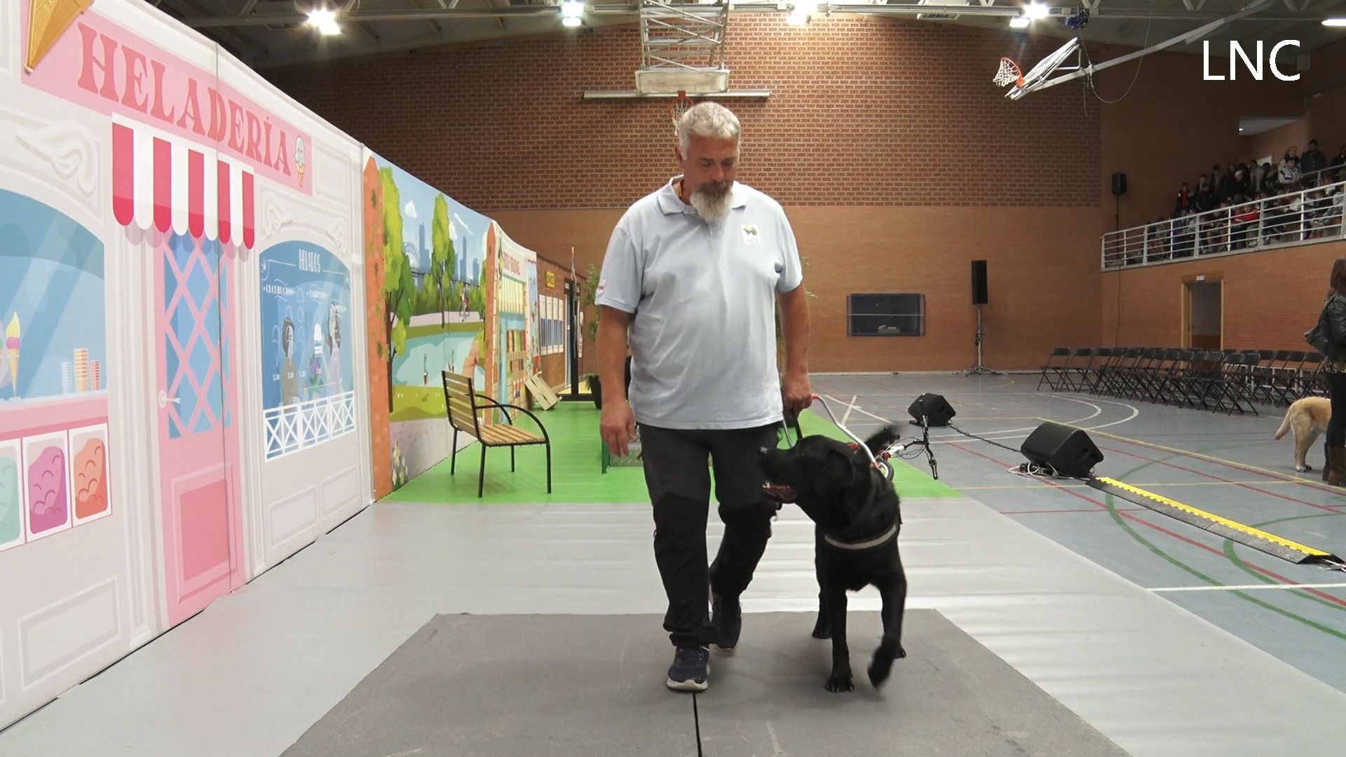 "El perro guía no es un GPS, pero sí una prolongación de mi brazo" | LAURA PASTORIZA