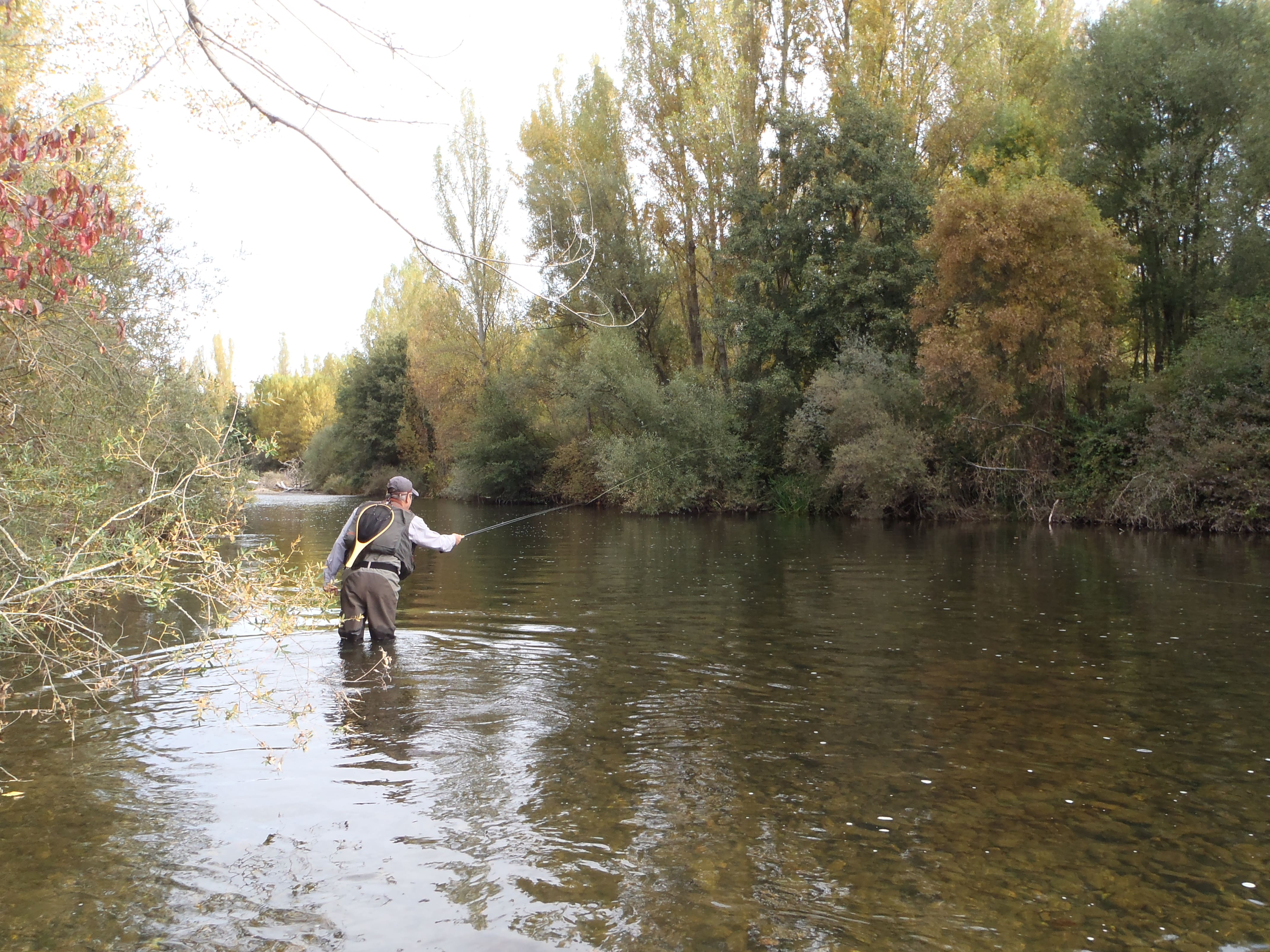 Pescando en el río Porma.